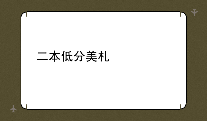 二本低分美术大学