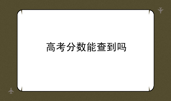 高考分数能查到吗
