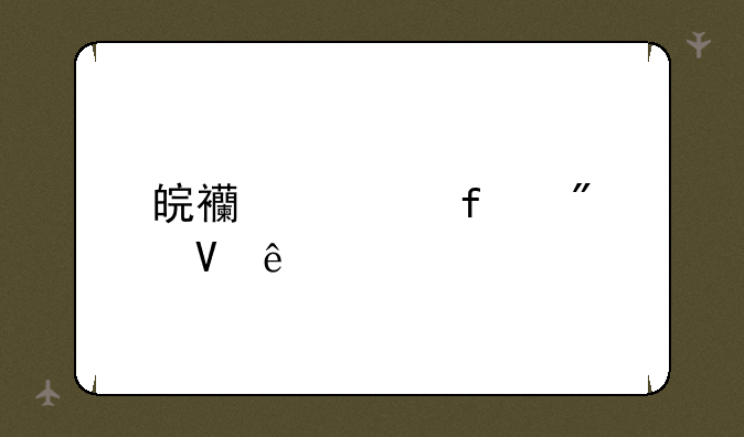 皖西学院分数线