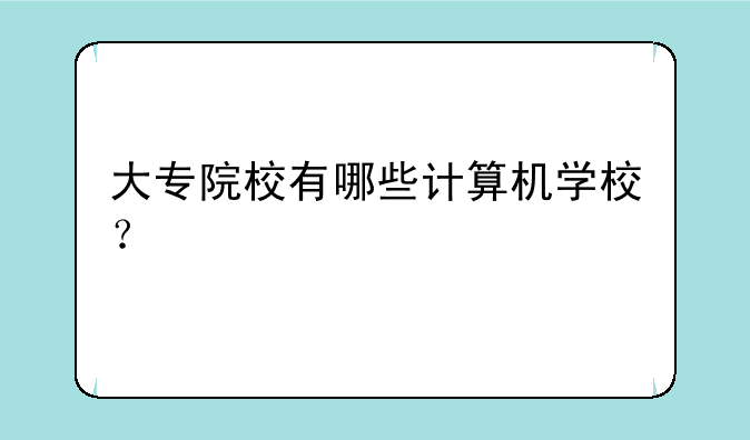 大专院校有哪些计算机学校？