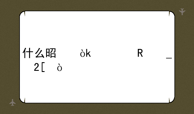 什么是会计电算化？