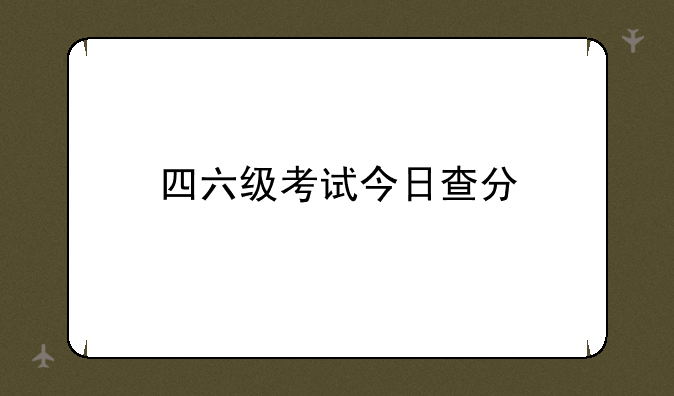 四六级考试今日查分