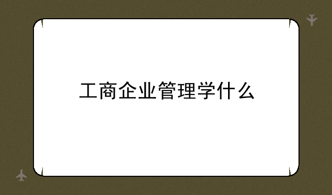 工商企业管理学什么