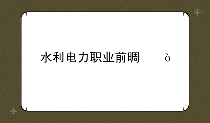 水利电力职业前景？