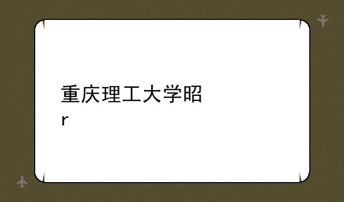 重庆理工大学是几本
