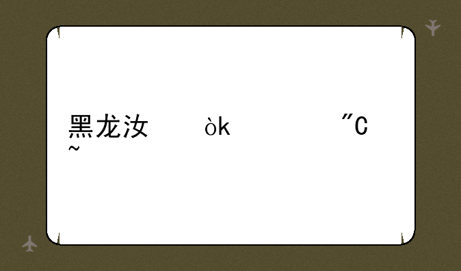 黑龙江会考成绩查询