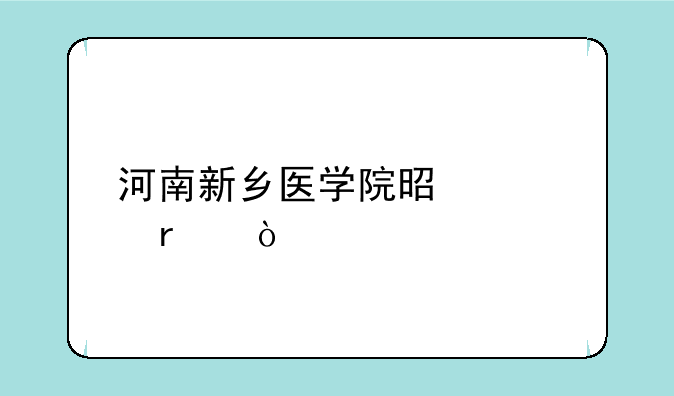 河南新乡医学院是几本？