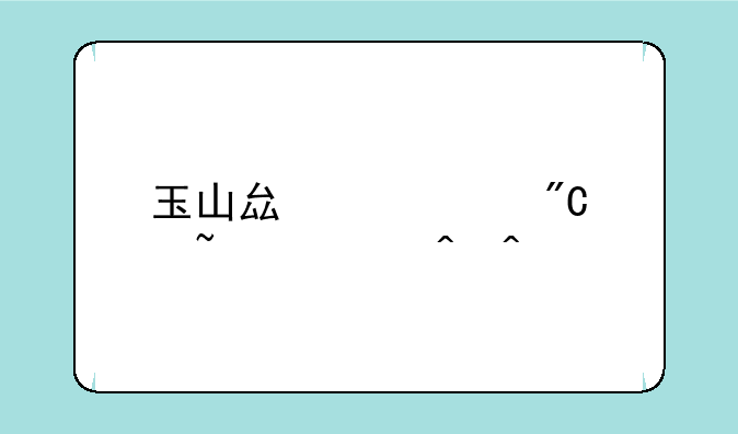 玉山县中考成绩查询时间