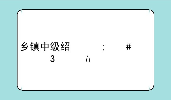 乡镇中级经济师主要职责？