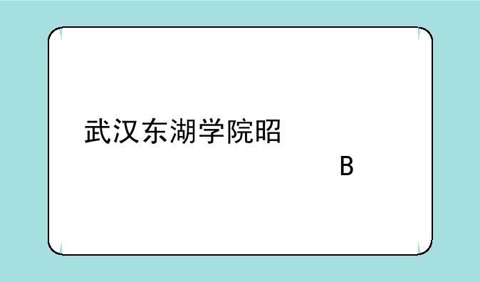 武汉东湖学院是正规大学吗