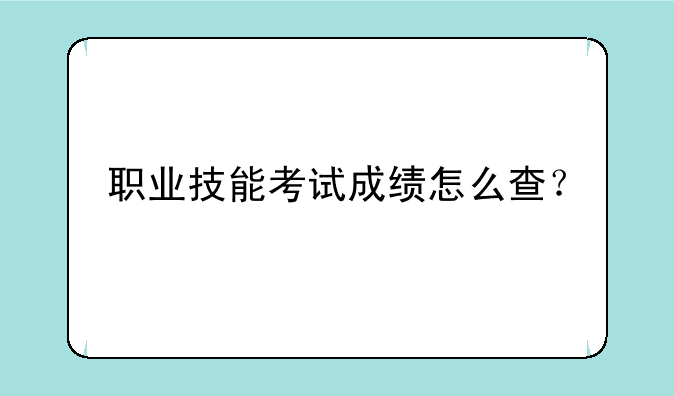职业技能考试成绩怎么查？
