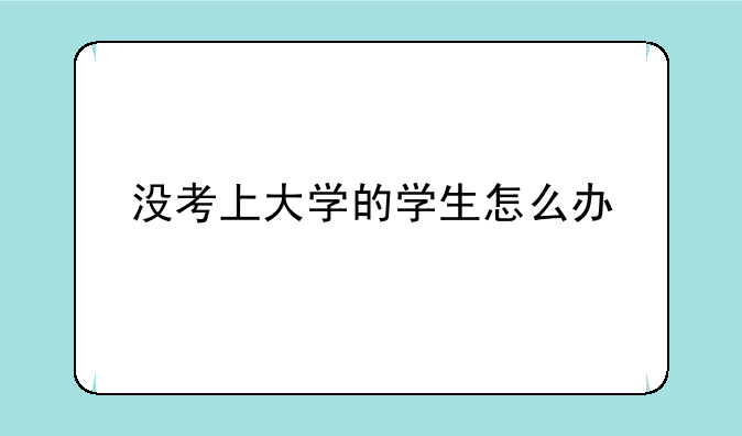 没考上大学的学生怎么办
