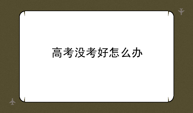 高考没考好怎么办